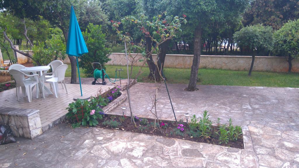 Apartment Basic Petrčane Extérieur photo